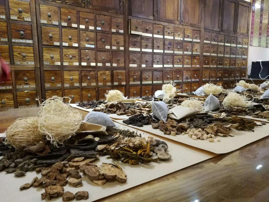 共享中药房打造新模式：中医药服务的创新革命